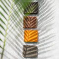 2 Soap Bar Bundle