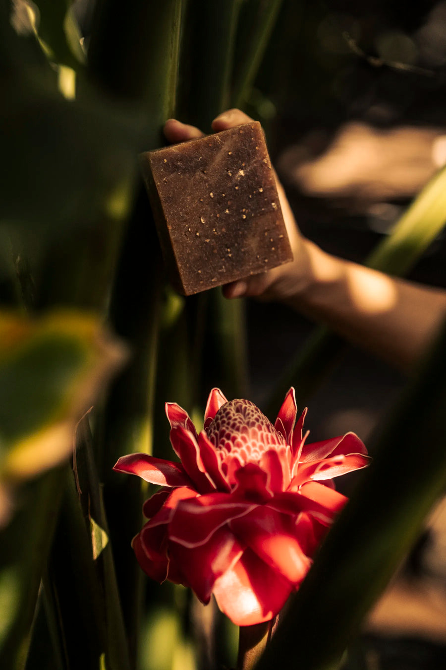 Oak Barrel Cider Artisanal Soap Bar